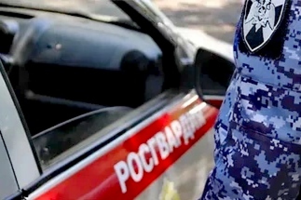 В Архангельске патруль Росгвардии задержал подозреваемых в магазинных кражах